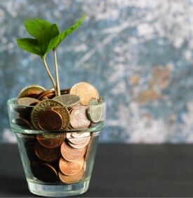 Financial Wellness for Women: Strategies to Take Control of  Your Money and Debt
