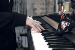 Shipkevich-Attorneys-at-Law-_2025_0D9A0696